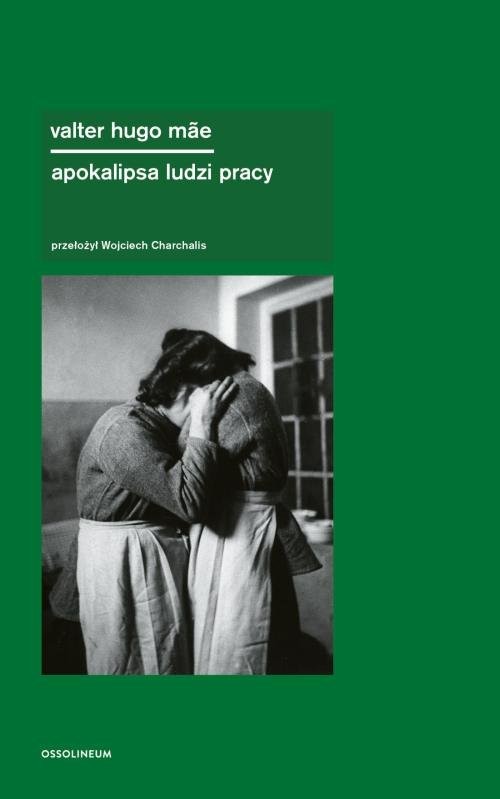 okładka Apokalipsa ludzi pracy książka | Valter Hugo Mae