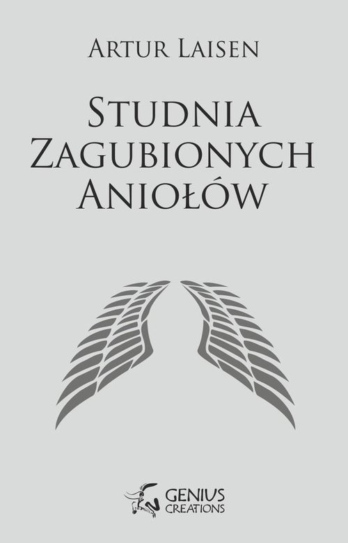 okładka Studnia Zagubionych Aniołów książka | Artur Laisen