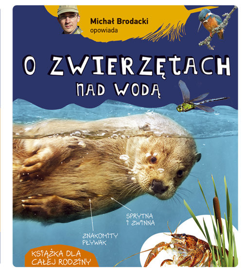 okładka Michał Brodacki opowiada o zwierzętach nad wodą książka | Brodacki Michał
