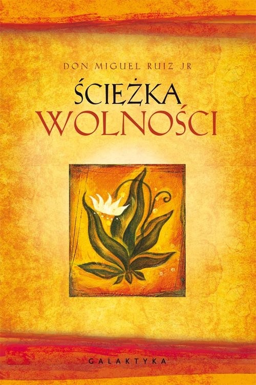 okładka Ścieżka wolności książka | Miguel Ruiz Jr. Don