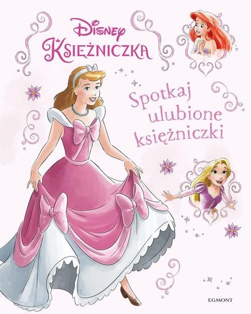 okładka Spotkaj ulubione księżniczki książka | Brandi Dougherty, Amelia Hansen