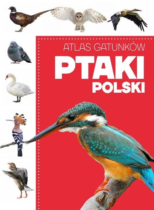 okładka Atlas gatunków Ptaki Polski książka