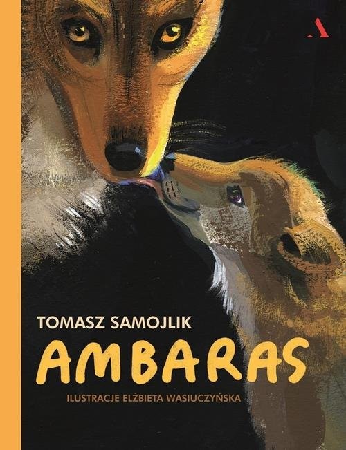 okładka Ambaras książka | Samojlik Tomasz