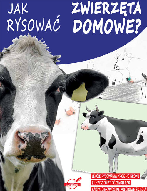 okładka Jak rysować zwierzęta domowe? książka