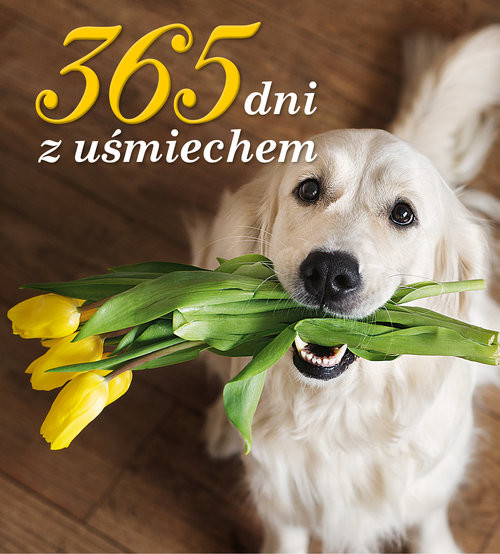 okładka 365 dni z uśmiechem książka | Praca Zbiorowa