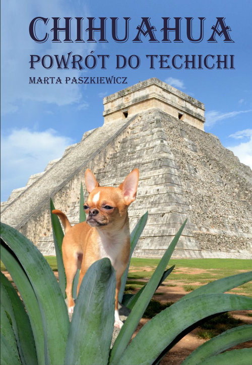 okładka Chihuahua powrót do techichi książka | Marta Paszkiewicz