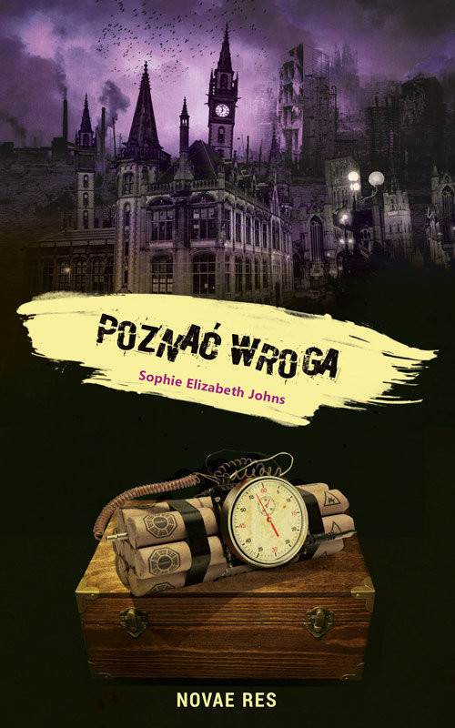 okładka Poznać wroga książka | Elizabeth Johns Sophie