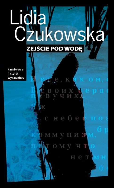 okładka Zejście pod wodę książka | Czukowska Lidia