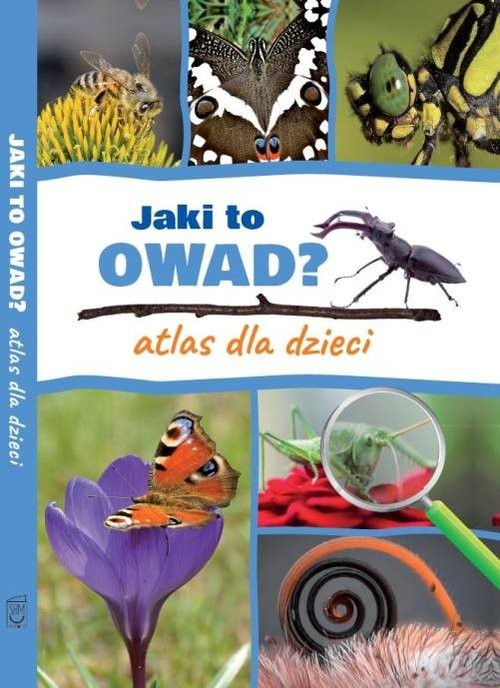 okładka Jaki to owad? Atlas dla dzieci książka | Kamila Twardowska, Jacek Twardowski