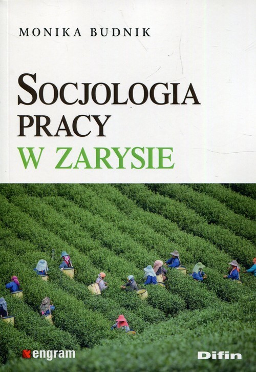 okładka Socjologia pracy w zarysie książka | Budnik Monika