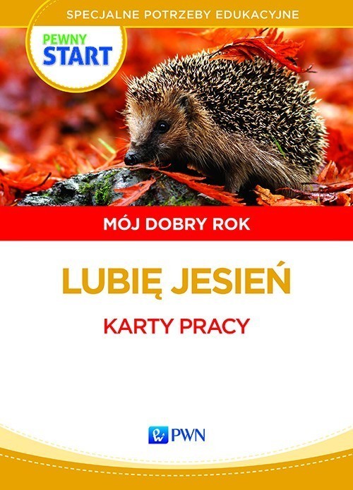 okładka Pewny start Mój dobry rok Lubię jesień Karty pracy Specjalne potrzeby edukacyjne książka | Aneta Pliwka, Katarzyna Radzka, Barbara Szostak, Lidia Klaro-Celej