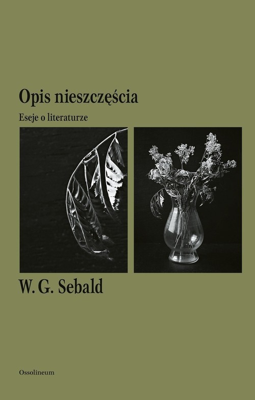okładka Opis nieszczęścia książka | Sebald W.G.