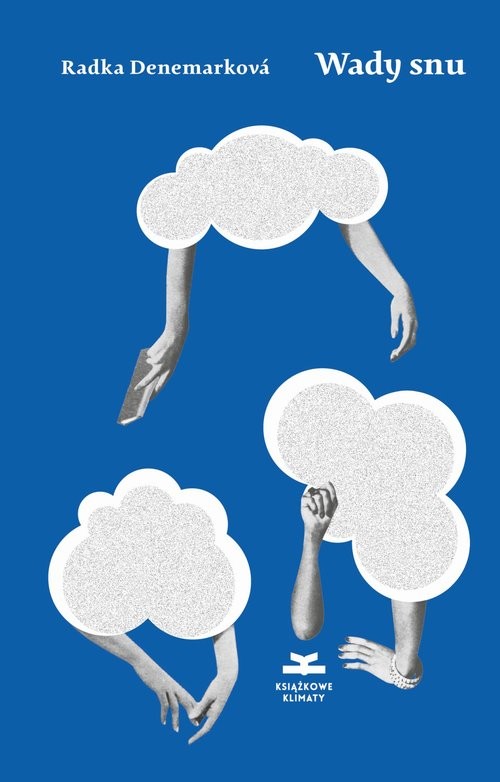 okładka Wady snu Trzydzieści mrugnięć oka książka | Denemarková Radka