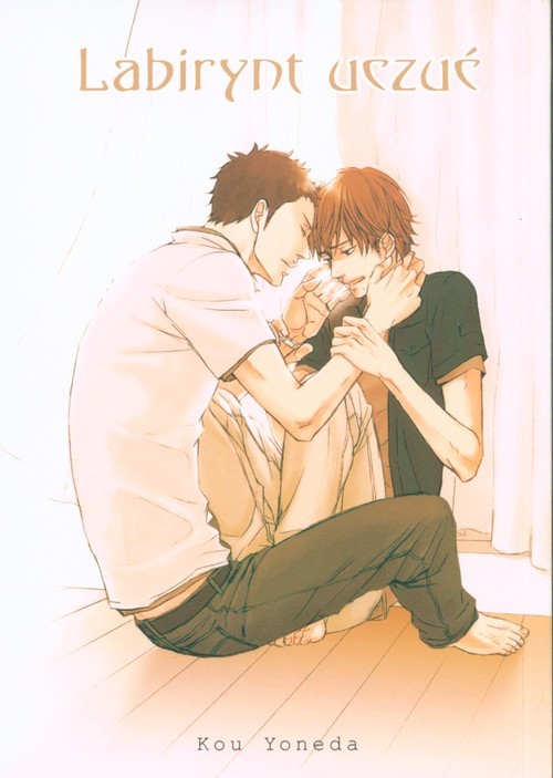okładka Labirynt Uczuć książka | Yoneda Kou