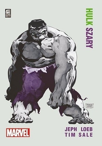 okładka Hulk Szary książka | Jeph Loeb, Tim Sale