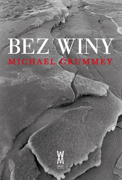 okładka Bez Winy książka | Michael Crummey