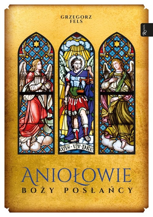 okładka Aniołowie Boży posłańcy książka | Grzegorz Fels