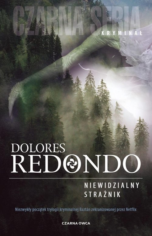 okładka Niewidzialny strażnik książka | Dolores Redondo