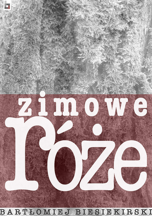 okładka Zimowe róże ebook | epub, mobi | Bartłomiej Biesiekirski