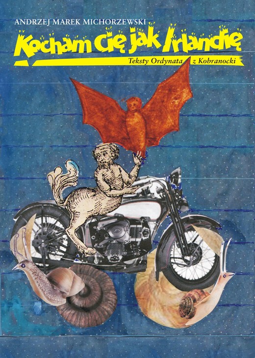 okładka Kocham Cię jak Irlandię ebook | epub, mobi | Andrzej Marek Michorzewski