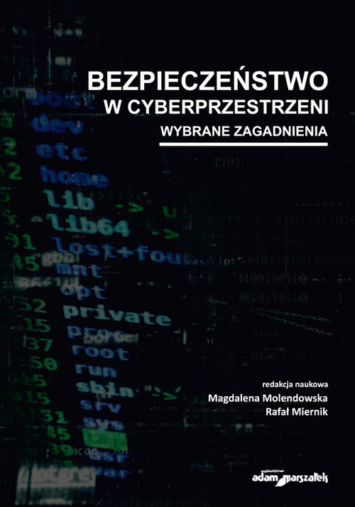okładka Bezpieczeństwo w cyberprzestrzeni Wybrane zagadnienia książka