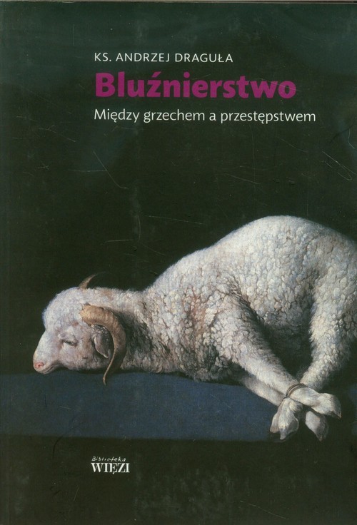 okładka Bluźnierstwo Między grzechem a przestępstwem książka | Andrzej Draguła