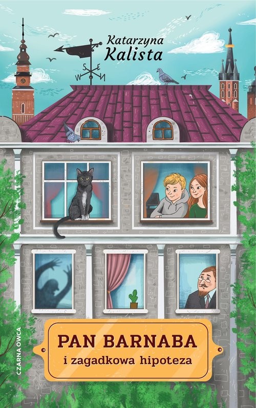 okładka Pan Barnaba i zagadkowa hipoteza książka | Katarzyna Kalista