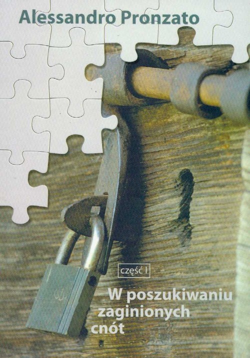 okładka W poszukiwaniu zaginionych cnót część 1 książka | Alessandro Pronzato