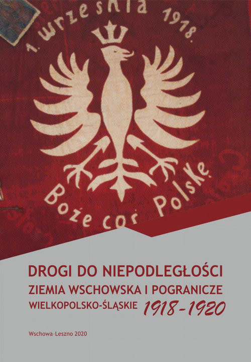 okładka Drogi do niepodległości Ziemia wschowska i pogranicze wielkopolsko-śląskie 1918-1920 książka