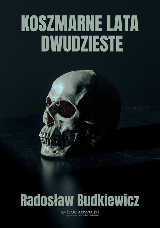 okładka Koszmarne lata dwudzieste ebook | epub, mobi | Radosław Budkiewicz