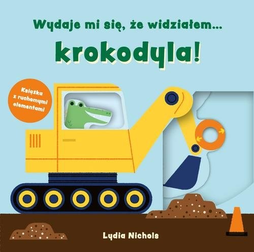 okładka Wydaje mi się, że widziałem… krokodyla książka | Lydia Nichols
