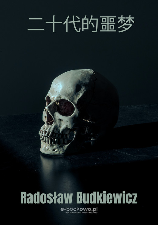 okładka 二十代的噩梦 ebook | epub, pdf | Radosław Budkiewicz