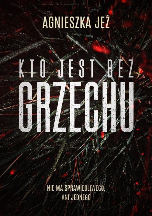 okładka Kto jest bez grzechu książka | Agnieszka Jeż