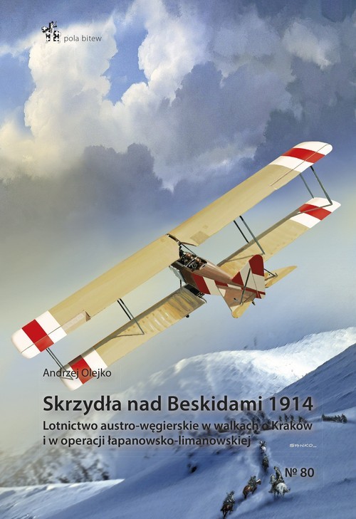 okładka Skrzydła nad Beskidami 1914 książka | Andrzej Olejko
