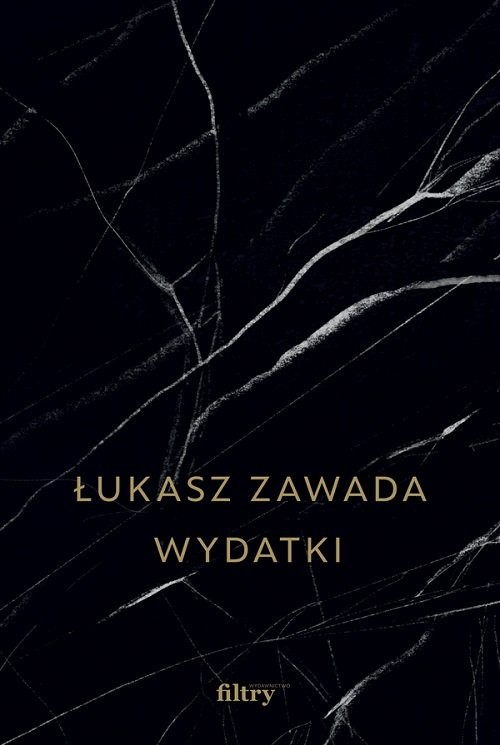 okładka Wydatki książka | Łukasz Zawada