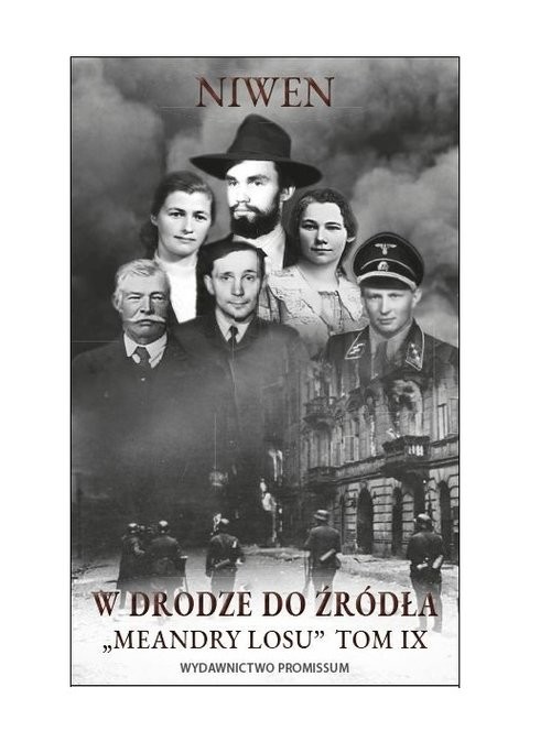 okładka Meandry losu Tom 9 W drodze do źródła książka | Niwen