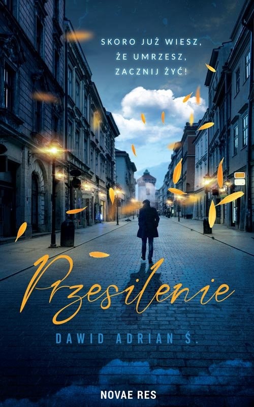 okładka Przesilenie książka | Dawid Adrian Ś.