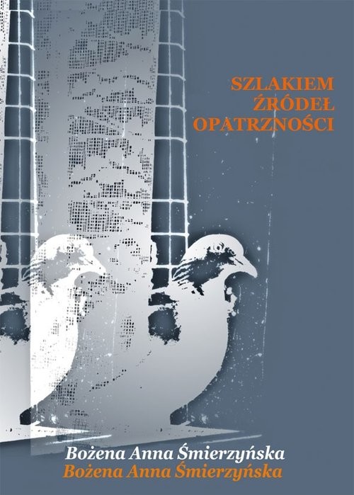 okładka Szlakiem Źródeł Opatrzności książka | Bożena Anna Śmierzyńska
