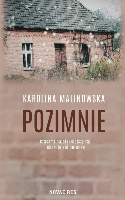 okładka Pozimnie książka | Malinowska Karolina