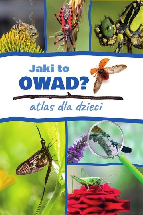 okładka Jaki to owad? Atlas dla dzieci książka | Twardowska Kamila, Jacek Twardowski