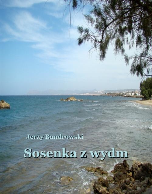 okładka Sosenka z wydm ebook | epub, mobi | Jerzy Bandrowski