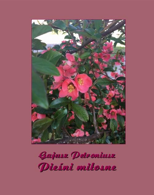 okładka Pieśni miłosne ebook | epub, mobi | Gajusz Petroniusz