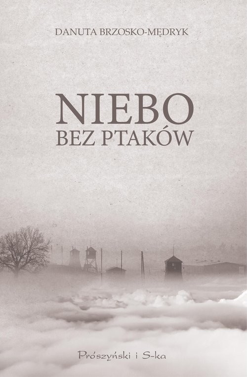 okładka Niebo bez ptaków książka | Danuta Brzosko-Mędryk