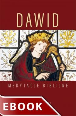 okładka Dawid. Medytacje biblijne ebook | epub, mobi | Stanisław Biel SJ
