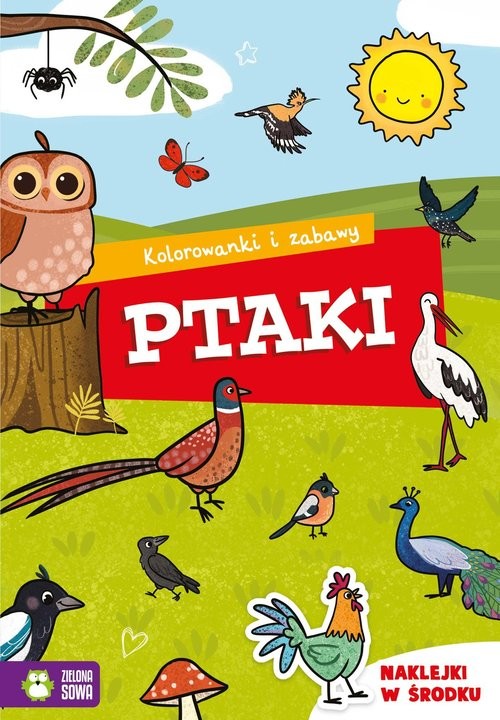 okładka Kolorowanki i zabawy Ptaki książka