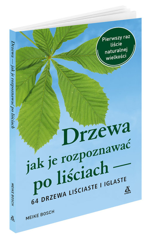 okładka Drzewa - jak je rozpoznawać po liściach książka | Meike Bosch