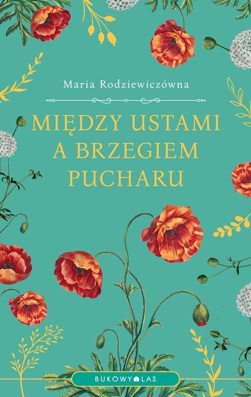 okładka Między ustami a brzegiem pucharu książka | Maria Rodziewiczówna