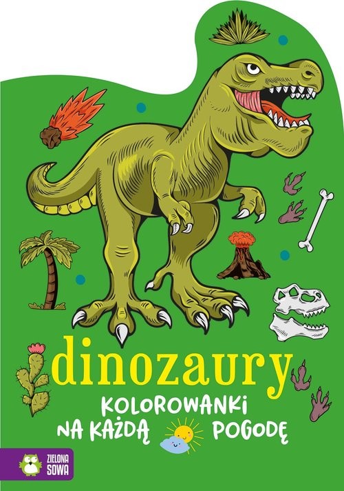 okładka Kolorowanki na każdą pogodę Dinozaury książka