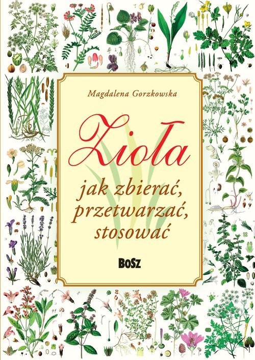 okładka Zioła. Jak zbierać, przetwarzać, stosować książka | Gorzkowska Magdalena