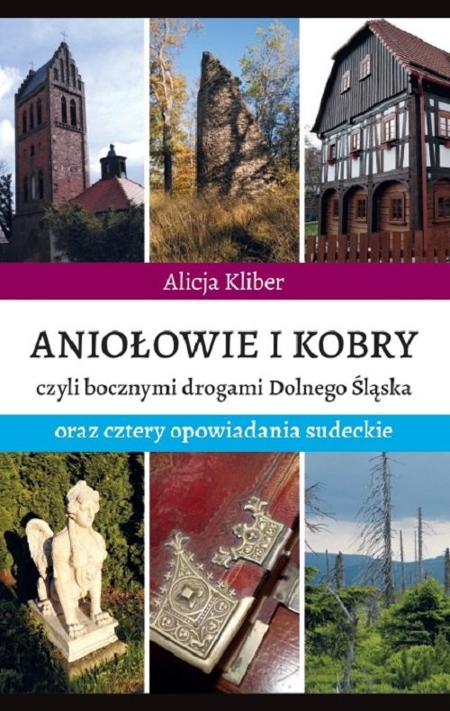 okładka Aniołowie i kobry książka | Alicja Kliber